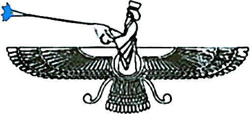 True North Wash Co. logo